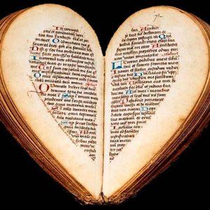 Meet your Posher, Lydia